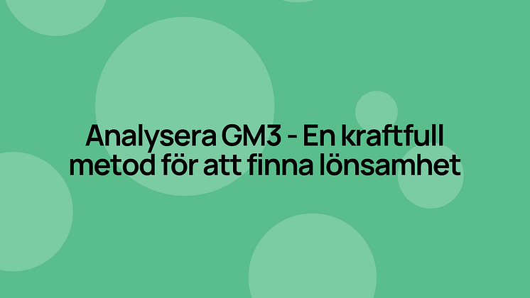 omniarch-analysera-gm3-lonsamhet.png
