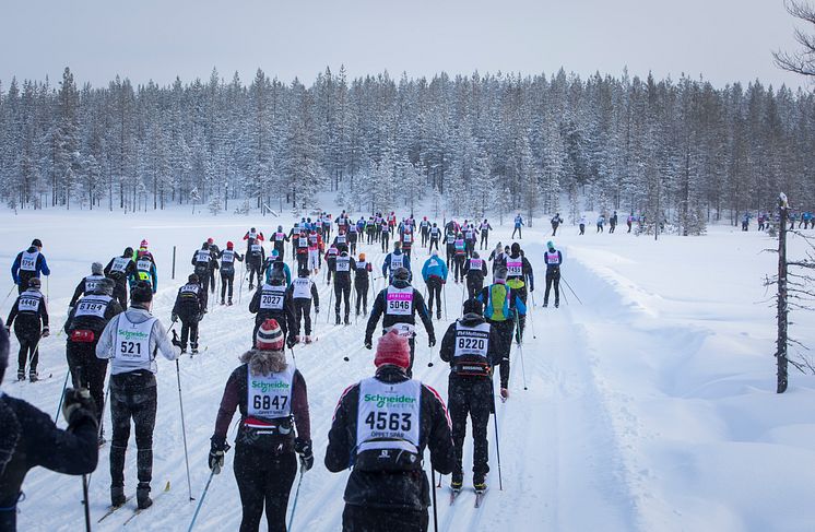 Öppet Spår söndag 2018