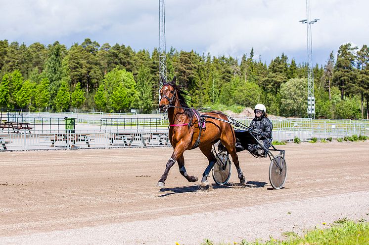 Trav kommer till Realgymnasiet i Halmstad