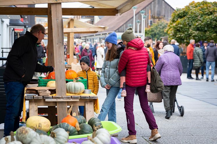 Matmarked og lavvo Matlyst  FOTO Ringsaker kommune_28.JPG