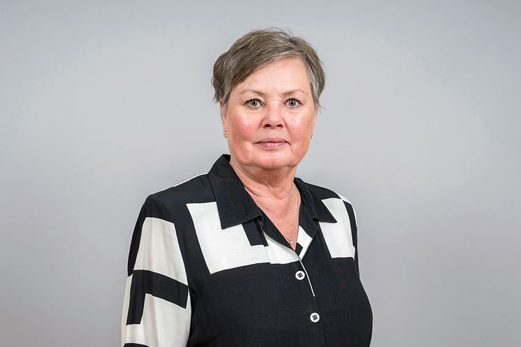 Birgitta Larsson Gällivare kommun