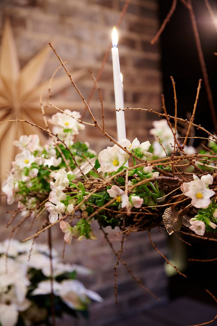 Julkrans med julbegonia