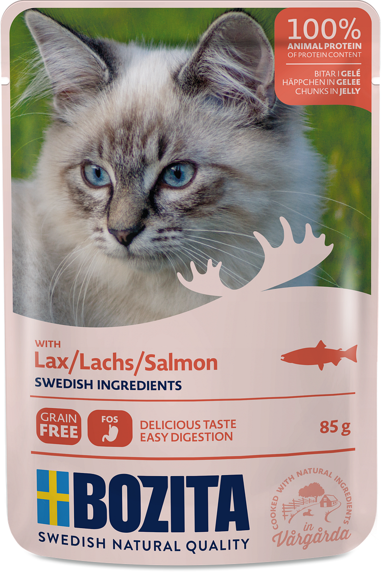 Salmon i jelly