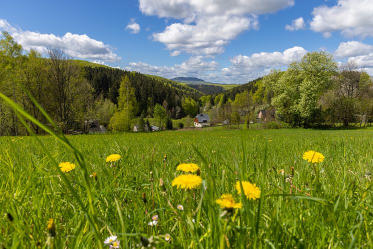 Landschaft_Frühling_Schindelbachtal 05.2021 (1 von 9) Foto TVE_RonnyKüttnerPhotoron.jpg