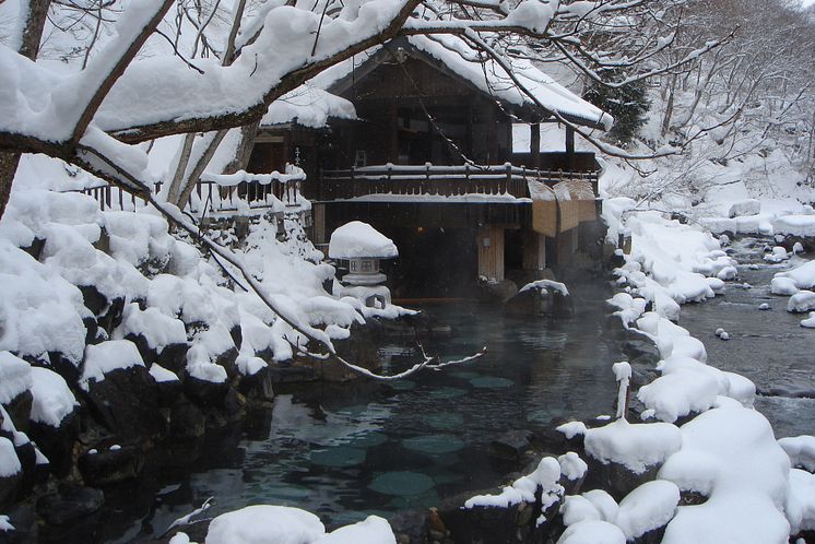 Takaragawa Onsen Osenkaku(2)