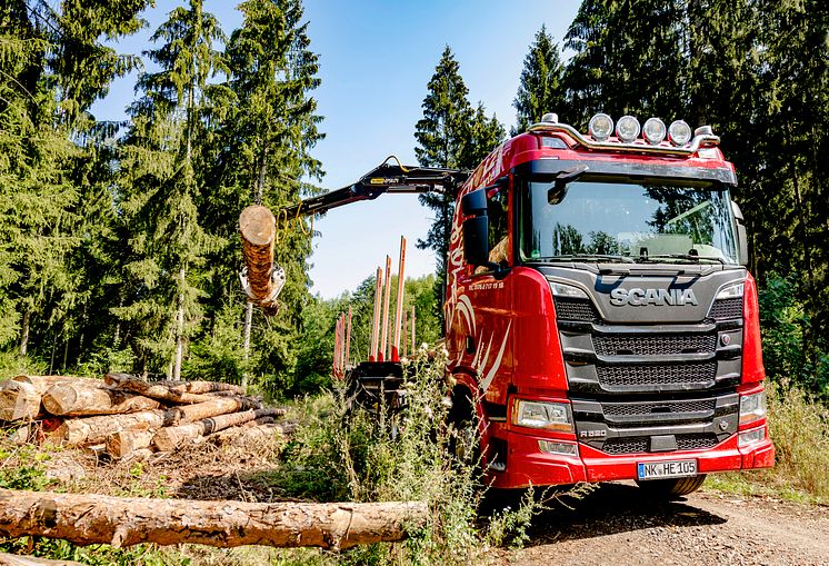 Scania R 520 V8 Langholztransport