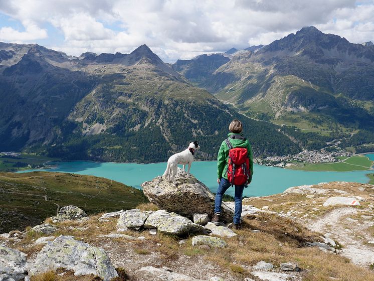 Hit drömmer hunden om att få resa_6