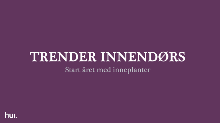 Plantasjen rapport – Trender innendørs 2024.pdf