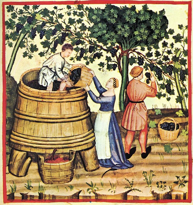 Vinsmaking med middelaldersk vri