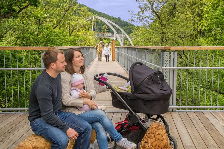 Bad Harzburg trætopsti