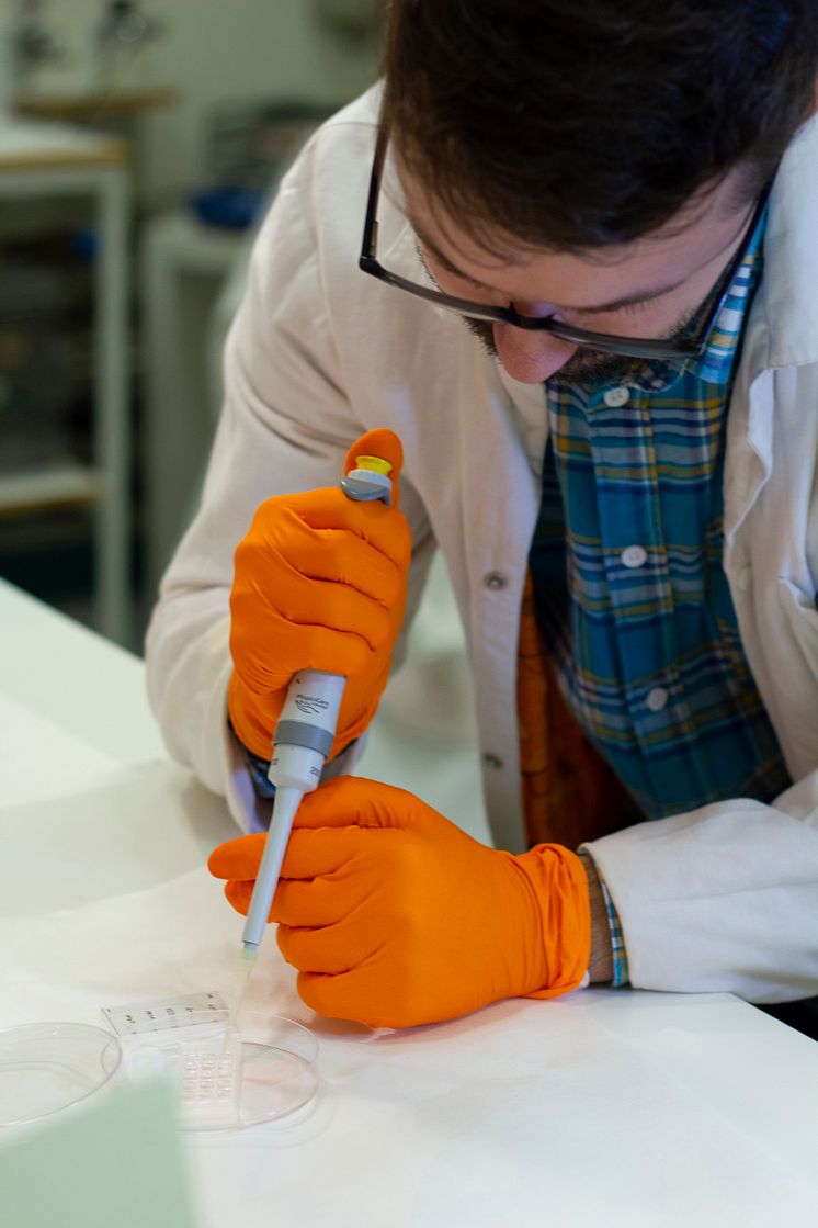 Doktoranden Michael Jury har testat hydrogelens egenskaper.