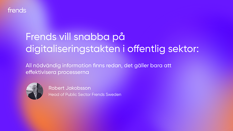 public_sector_swe