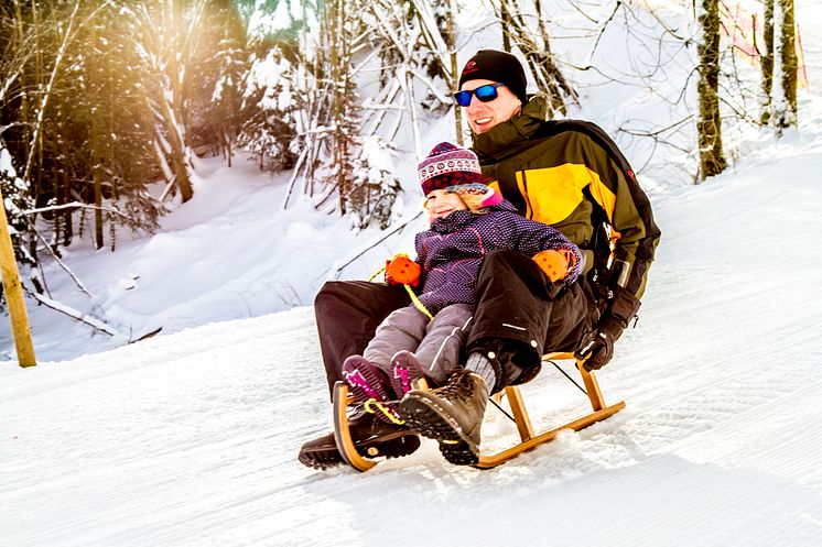 Wintersportlandschaften Schlitten