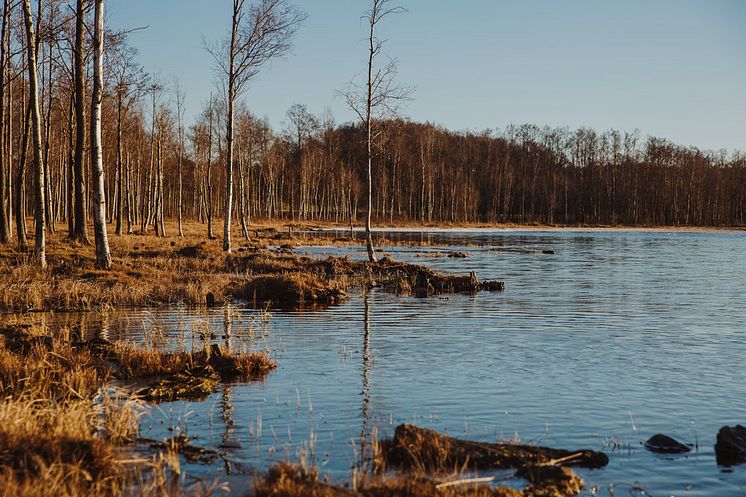 460 miljoner till lokala åtgärder för bättre havs- och vattenmiljö