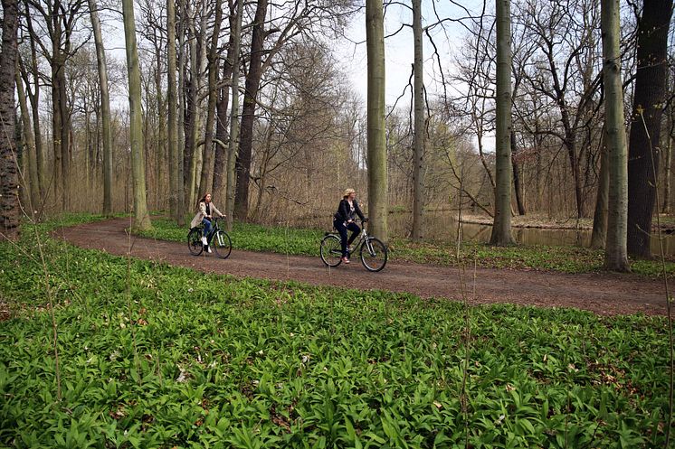 Fahrradtour - Bärlauch 