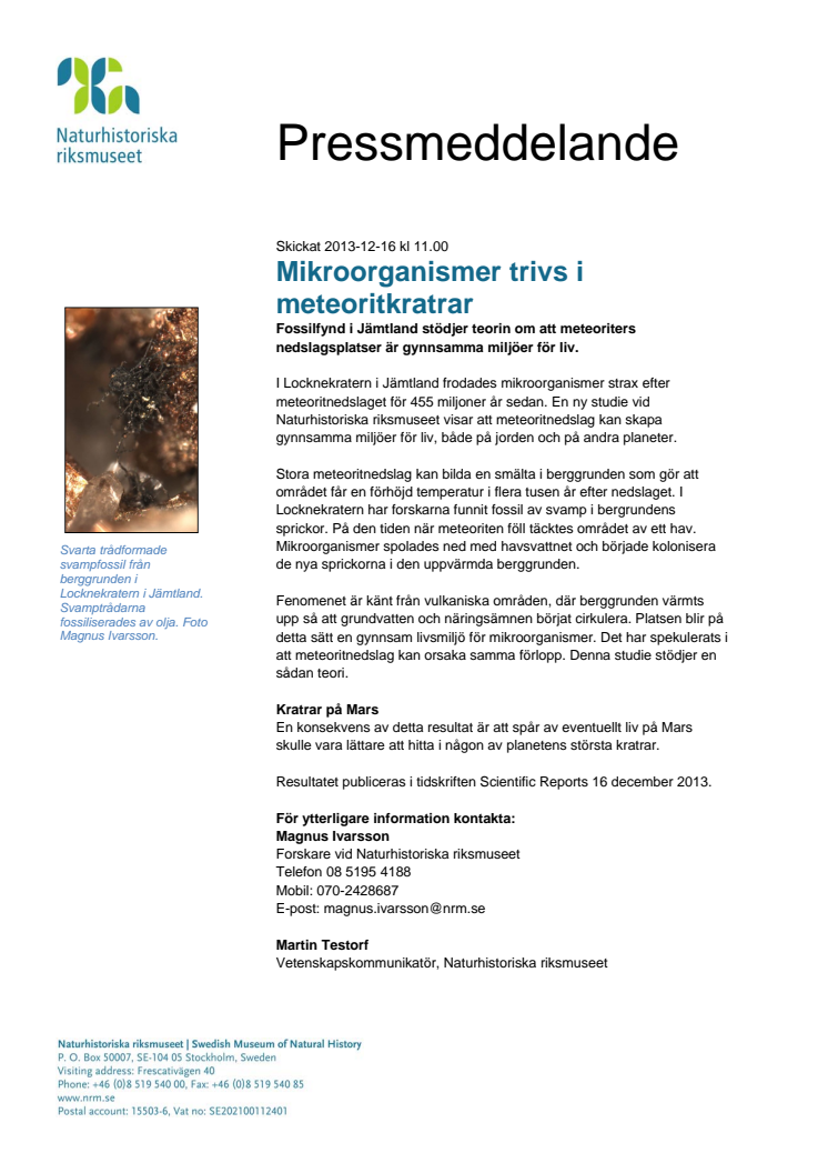 Mikroorganismer trivs i meteoritkratrar