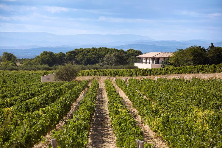 Domaines Paul Mas -  Best French Producer 2019 i tävlingen Mundus Vini 2019.