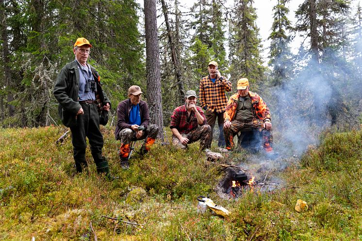 ELG - Døråsen Jaktlag i Ringsaker Jakt- og Fiskeområde leverer elgen som helgrilles på matmarkedet - FOTO Ringsaker kommune.JPG