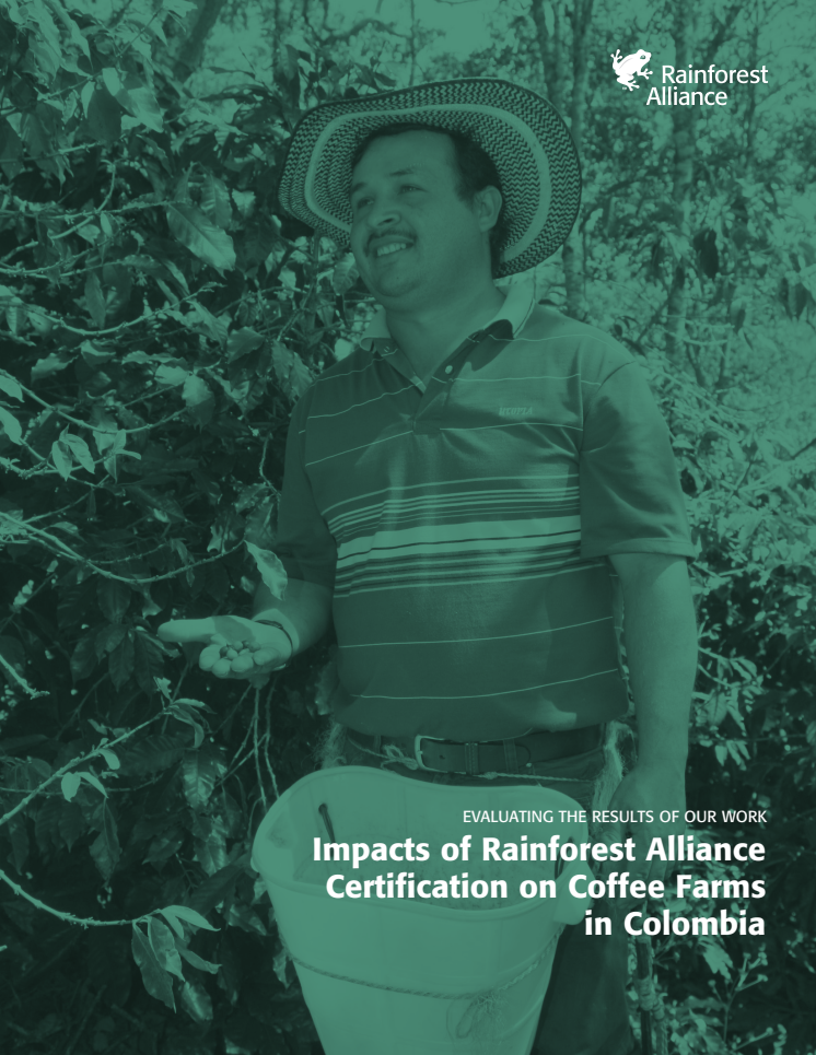 Impacts of Rainforest Alliance Certification on Coffee Farms in Colombia