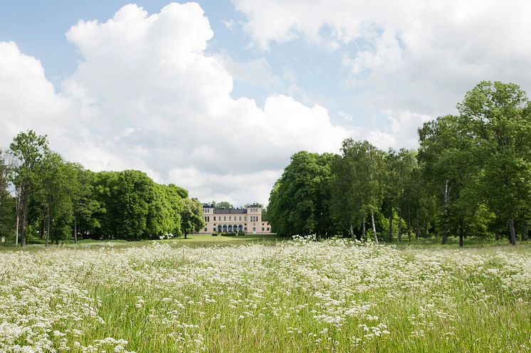 Försommar på slottet