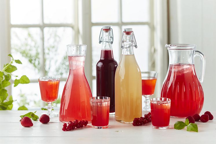 Basic-recipe-for-lemonade-NZG-35716- Foto_Caroline_Tengen_jpg.jpg