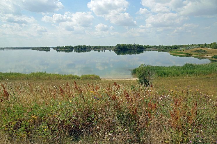 Grabschützer See im Leipziger Neuseenland