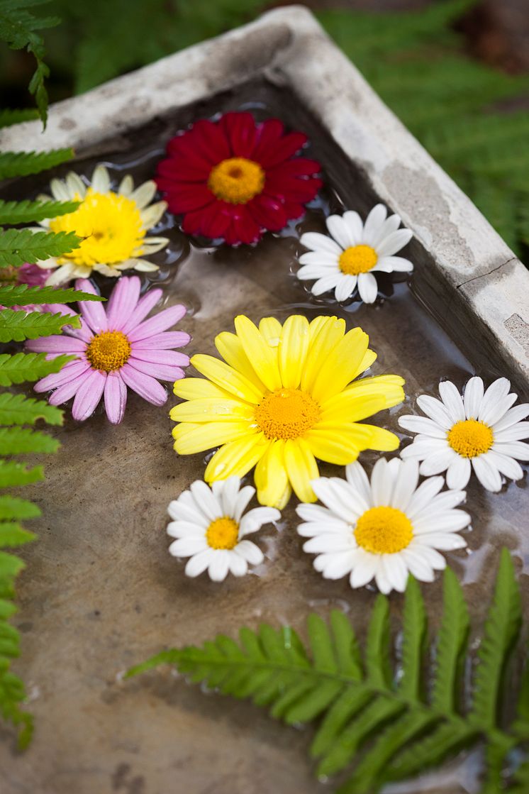 Vattenbad med blommor.