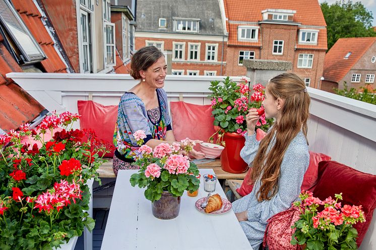 2022_Geraniums_9000_Floral_Morning_Moments_11