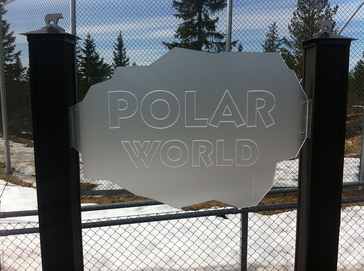 Polar World 