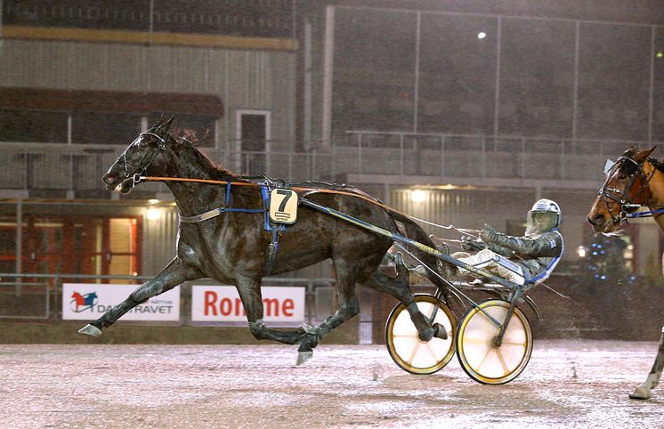 On Track Piraten