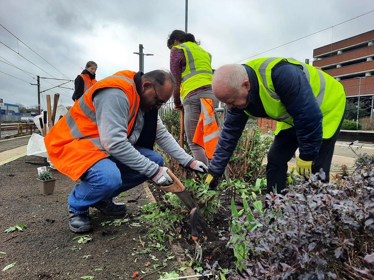 Volunteers get stuck in to help create the sensory garden 