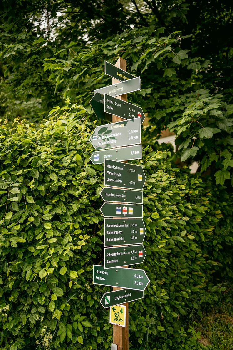 Kammweg_19.06.23_Dirk_Rueckschloss-0644.jpg