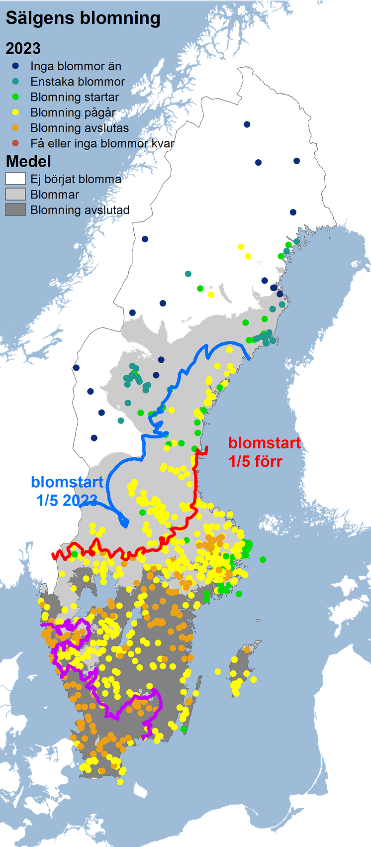 sälg2023