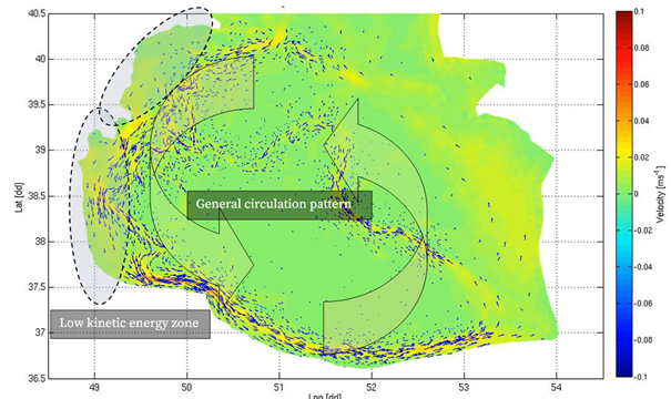 Plastic debris distribution pattern.png