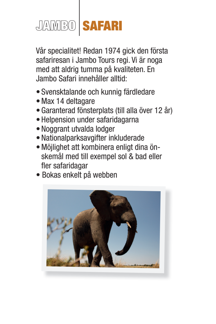 JAMBO SAFARI - safari med Jambo färdledare