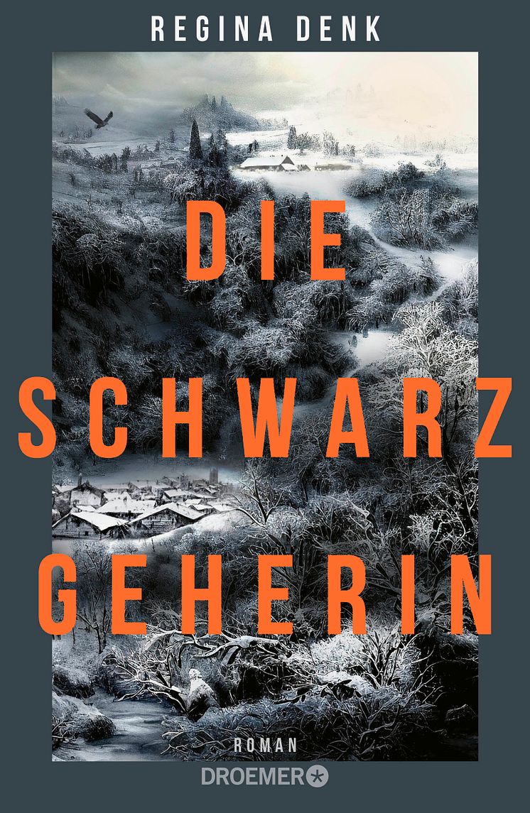 Cover_Die Schwarzgeherin.jpg