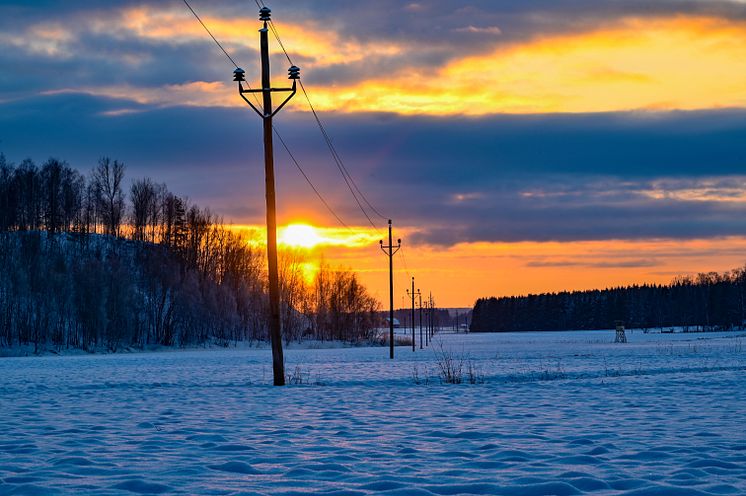 AdobeStock_411742842.jpeg