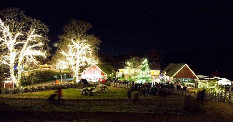 Jul i Djurparken