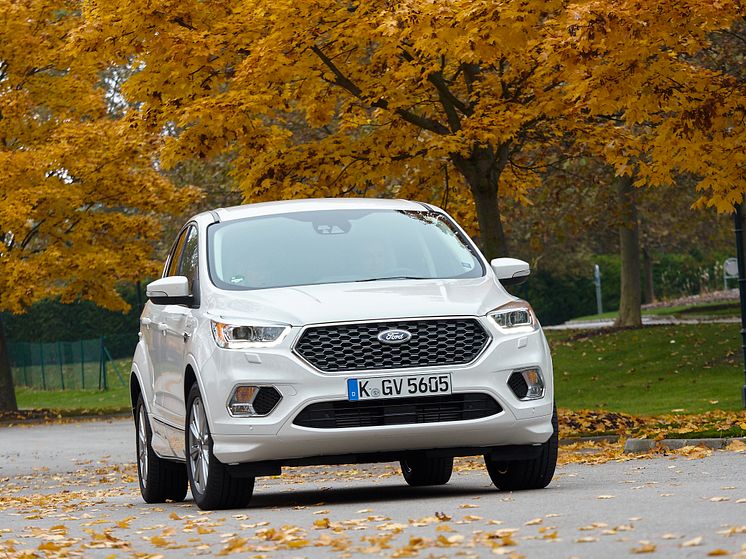 Ford_VignaleGoesSUV_50