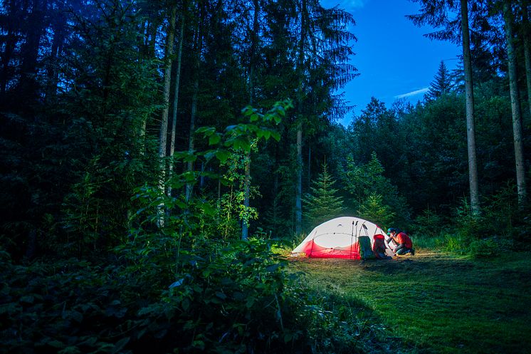 Breisgau-Hochschwarzwald_Hochschwarzwald_Wild_Zelten_auf_der_Wandertour_im_Gebirge,_ein_Mann_baut_das_Zelt_auf