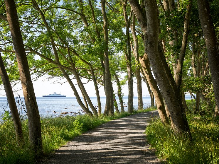 View of Jeløya, Moss, Norway.