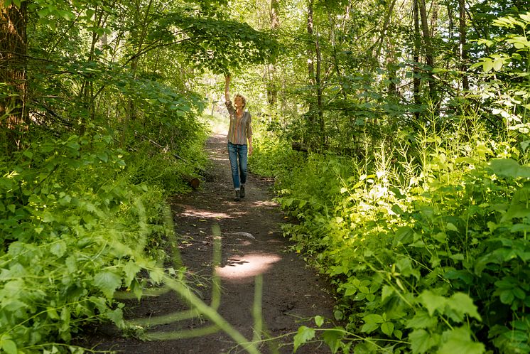 Skogsbad med Lisen Sundgren