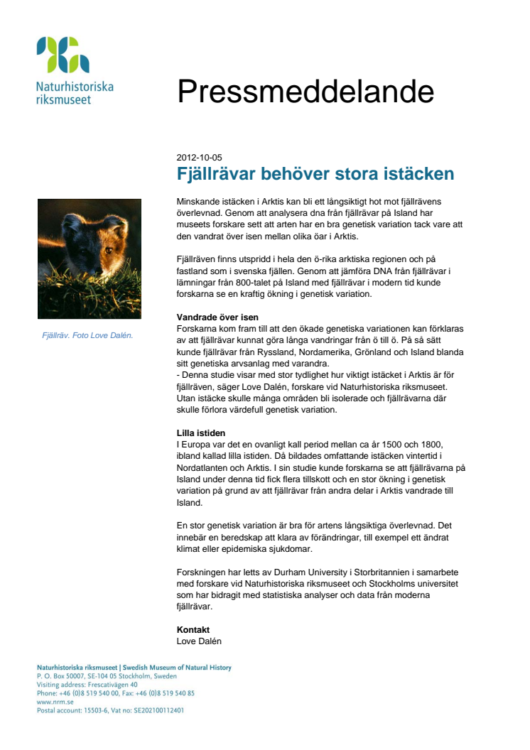 Fjällrävar behöver stora istäcken