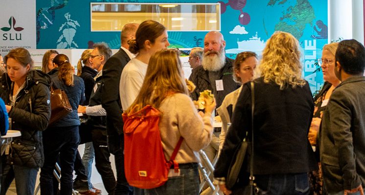 Mjölkveckan är en viktig samlingspunkt 