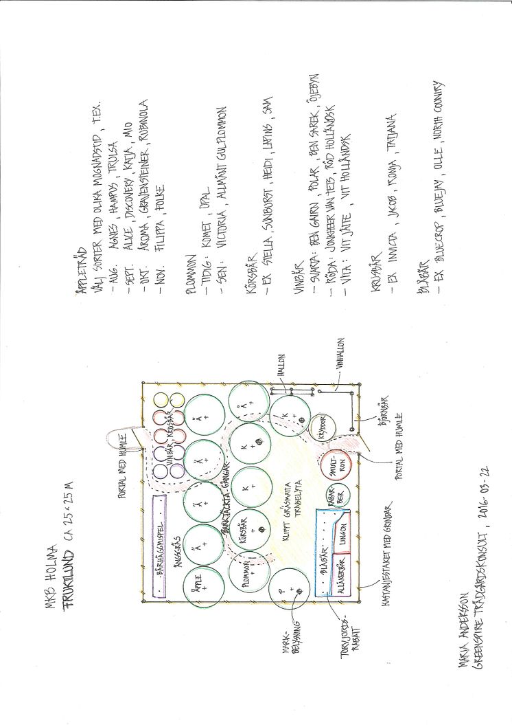 Här hittar du växter, träd och buskar som planterats i fruktlunden