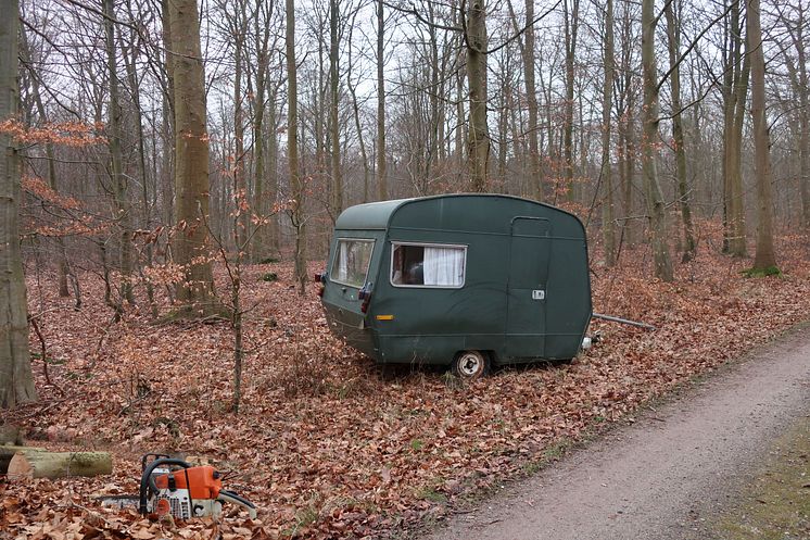 Camping i skoven