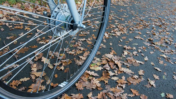 cykelhjul på löv