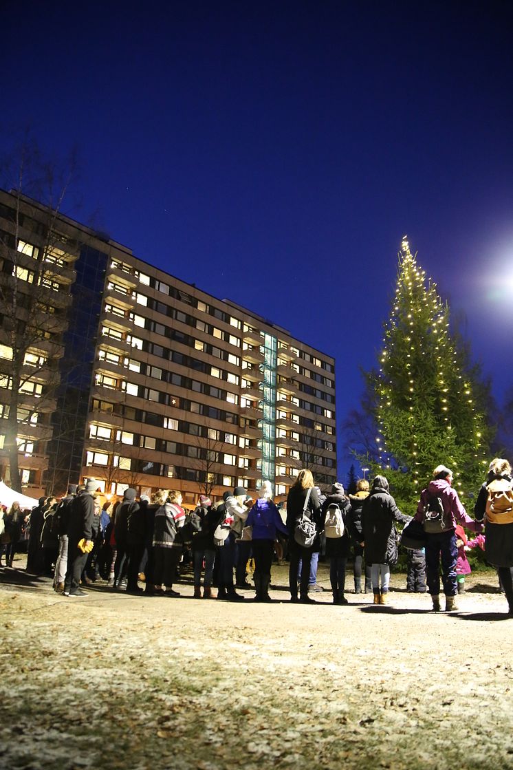 Julegrantenning på Kringsjå Studentby 