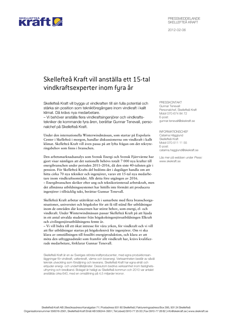Skellefteå Kraft vill anställa ett 15-tal vindkraftsexperter inom fyra år  