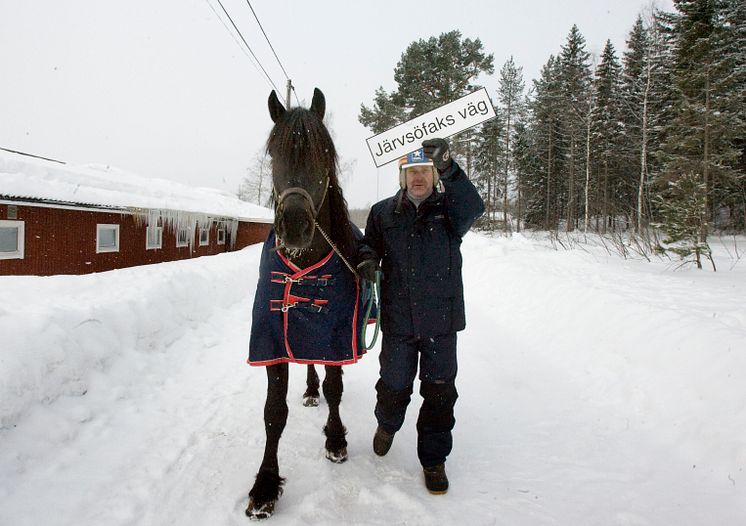 Järvsöfaks väg